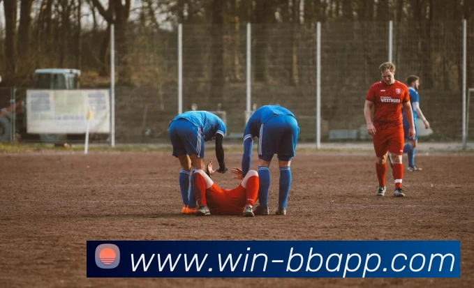 BB体育APP 封面图